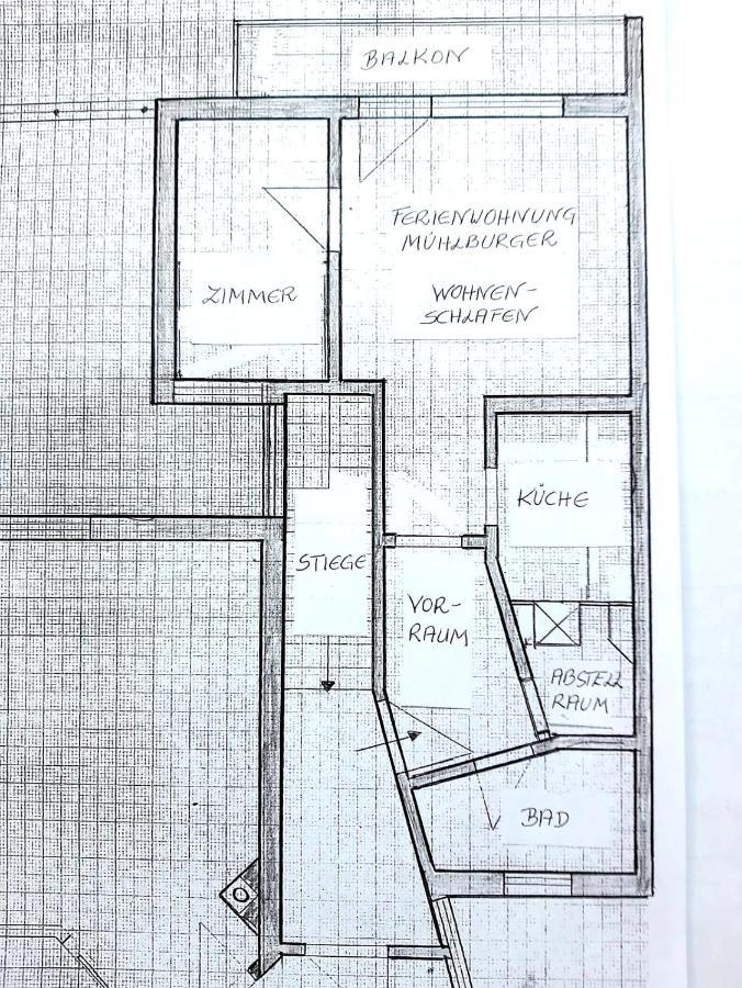 Ferienwohnung Muehlburger Lienz Dış mekan fotoğraf